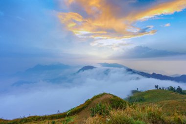 Tayland 'ın Chiang rai bölgesindeki Phucheefah dağ parkının manzarası.