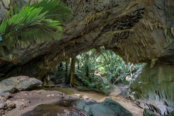 Hup Tat Cave Forest Central Valley Uthai Thani Unseen Thailand — Stock Photo, Image