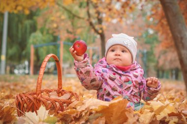 Elma ve sarı yapraklar ile oynayan sevimli çocuk. Oturma içinde yeşillik elbise sevimli bebek bebek kız Güz.