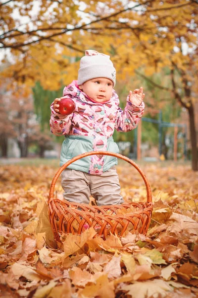 Чарівна Дитина Грає Яблучним Жовтим Листям Мила Дівчинка Малюка Осінньому — стокове фото