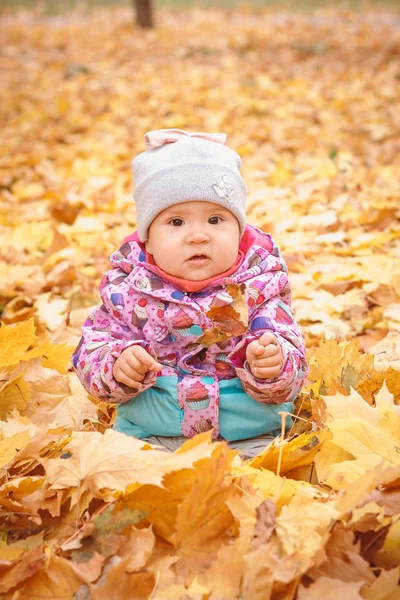 Charmante Kind Spelen Met Apple Gele Bladeren Schattig Peuter Baby Stockfoto