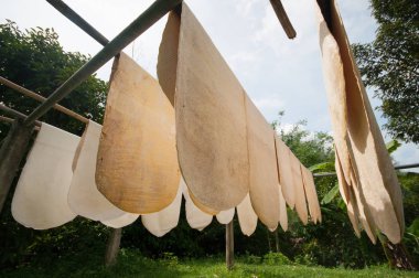 Lastik levha işlemi Güney Tayland