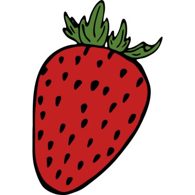 Handdrawn illüstrasyon meyve çilek, vektör çizim ile