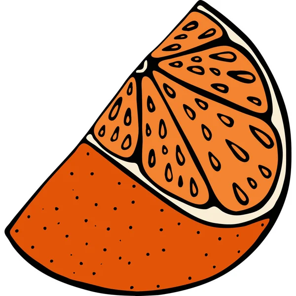Handdrawn Illustration Fruit Orange Vector Illustration — Stock Vector