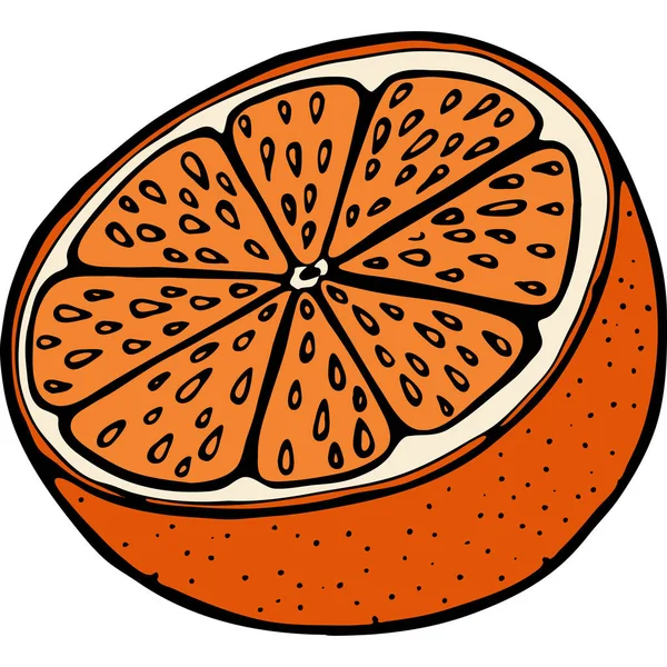 Ручная Иллюстрация Фруктовым Апельсином Векторная Иллюстрация — стоковый вектор