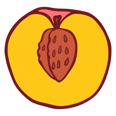 İzole vektör düz şeftali