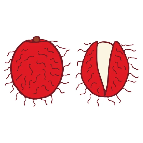 Vecteur isolé plat rambutan — Image vectorielle