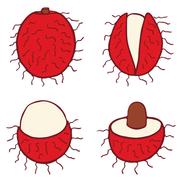 İzole vektör düz rambutan — Stok Vektör