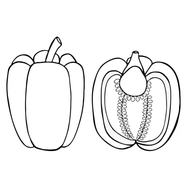 Skissera grönsak peppar — Stock vektor