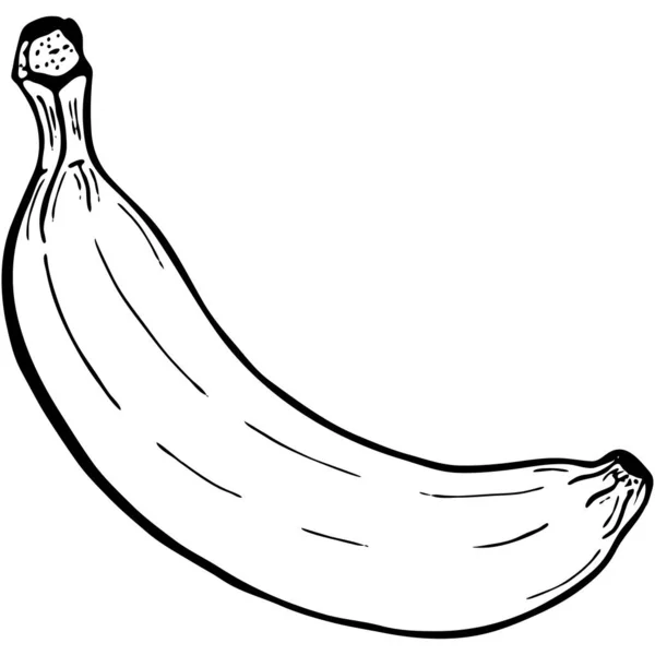 Vázlata gyümölcs banán — Stock Vector