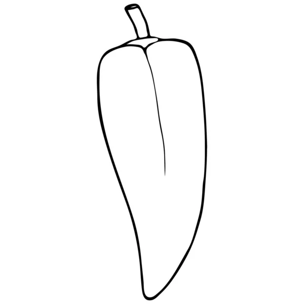 Outline vegetable pepper — Stock Vector