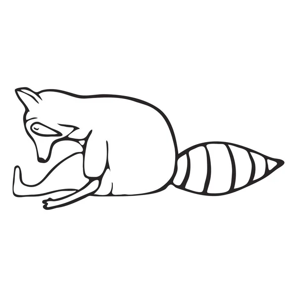 Doodle outline set of raccoon do yoga — Stock Vector