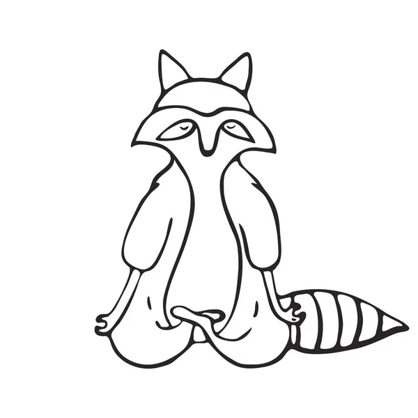 Doodle outline set of raccoon do yoga — Stock Vector