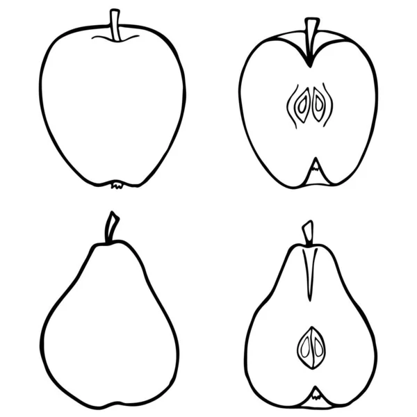 Décrivez les fruits pomme et poire — Image vectorielle