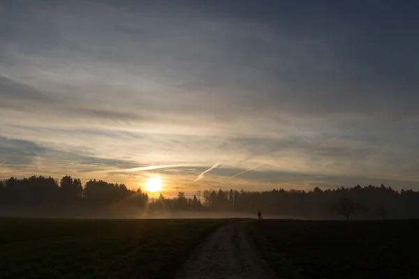 Andar ao pôr do sol com a floresta e névoa — Fotografia de Stock