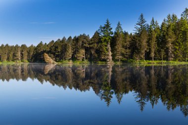 yeşil orman ve mavi gökyüzü mükemmel karanlık su sörfü yansıyan