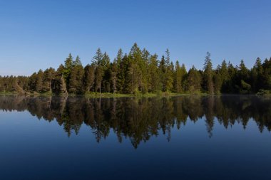 yeşil orman ve mavi gökyüzü mükemmel su yüzeyine yansıyan