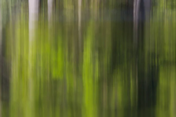 Bosque verde reflejado en la superficie del agua — Foto de Stock