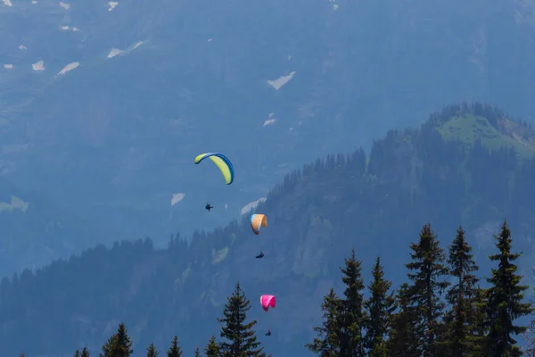 Three paragliders flying in mountains — Stock Photo, Image