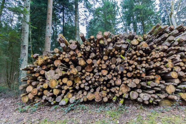 Pile de billes naturelles dans la forêt — Photo