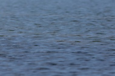 güneş ışığında küçük dalgalar ile mavi su yüzeyi