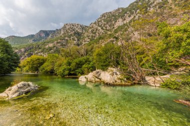 Yunanistan'da Acheron nehir yatağı, yeşil bitki örtüsü