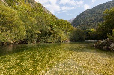 Yunanistan'da mavi gökyüzü ve yeşil bitki örtüsü ile Acheron nehri