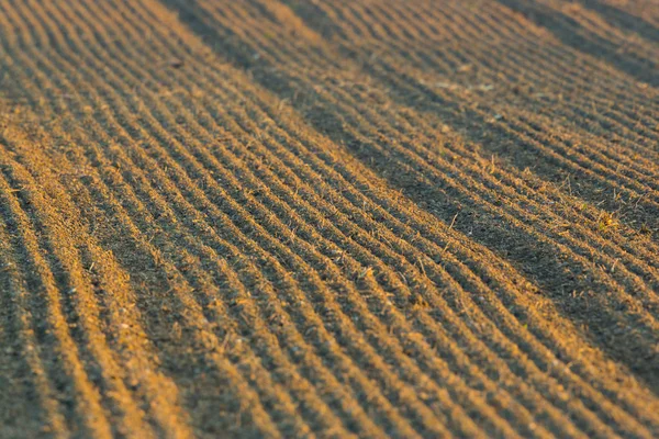 Newly furrowed farmland soil with furrows — Stock Photo, Image