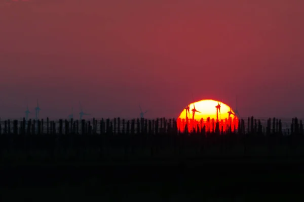 Silhuetas de moinhos de vento nascer do sol, Seewinkel — Fotografia de Stock