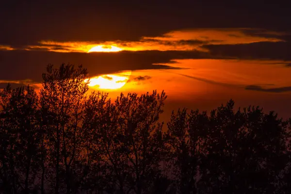 Karanlık bulutlar ve ağaçlarla harika bir gün batımı