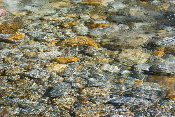 kristal berraklığında su ve vahşi nehir verzasca renkli taşlar