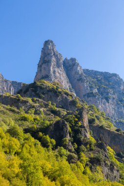sonbaharda Yunanistan'da Vikos geçit dağlar ve ağaçlar