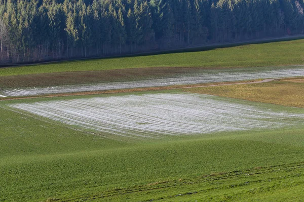Obdělaněné zemědělské pozemky pokryté sněhem, zelenou loukou, lesem — Stock fotografie