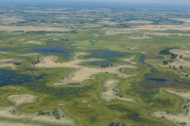 yeşil Okavango Delta manzara havadan görünümü