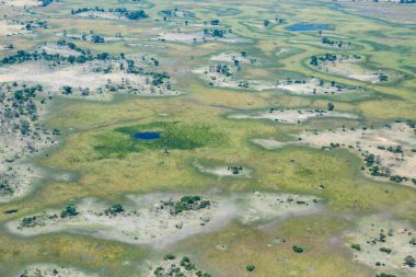 Okavango Delta manzara havadan görünümü