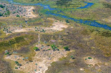 havadan görünümü Okavango Delta bataklık, otlak, ağaçlar, yollar