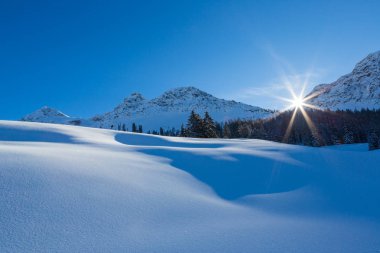 İsviçre dağlarında güzel kış manzara, orman, güneş