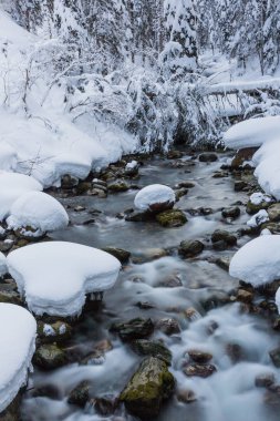 kışın dağ dere manzara, orman, kar