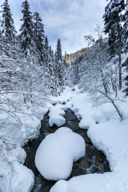 Kış manzarası dağ kamışı, orman, gökyüzü