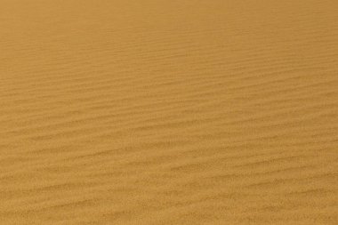 Namib çölü kumda yakın çekim oluklar