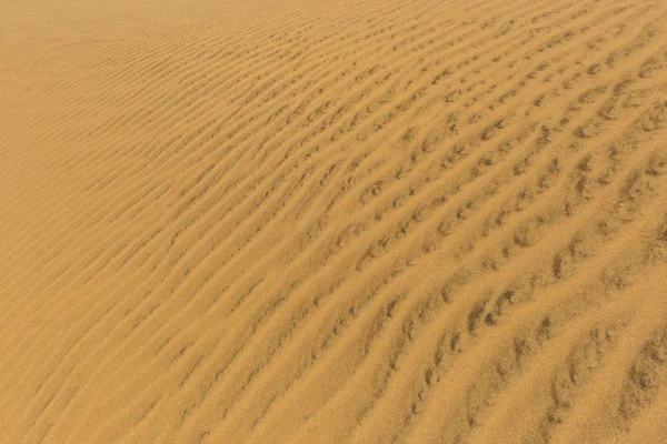 Těsná struktura větru písku v poušti Namib — Stock fotografie