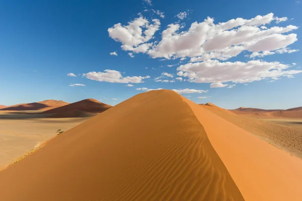 on top of sand dune 45 of Namib desert, clouds, blue sky