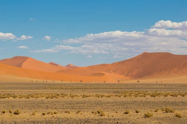 Zandduinen in Namib woestijn, blauwe hemel, wolken — Stockfoto