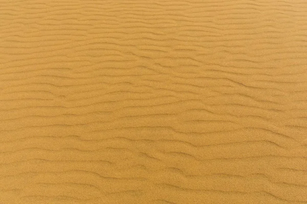 Přírodní struktura písečné duny v poušti Namib — Stock fotografie