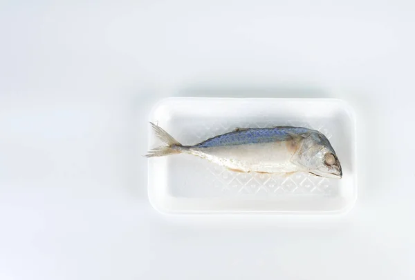 steamed mackerel in white foam packaging on white background
