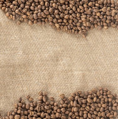 Boş alanı olan kahve çekirdekleri, tepeden bakıldığında çuval bezin üzerinde duruyordu..