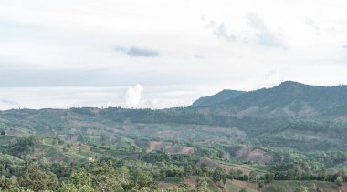 Bu, insan yıkımının dağdaki ormansızlığa bakış açısıdır. Küresel ısınma, iklim değişikliği, sürdürülebilir, çevresel sorun kavramı için kullanılır., 