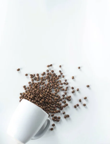 Cup Coffee Beans Fall Isolated White Background — Stock Photo, Image