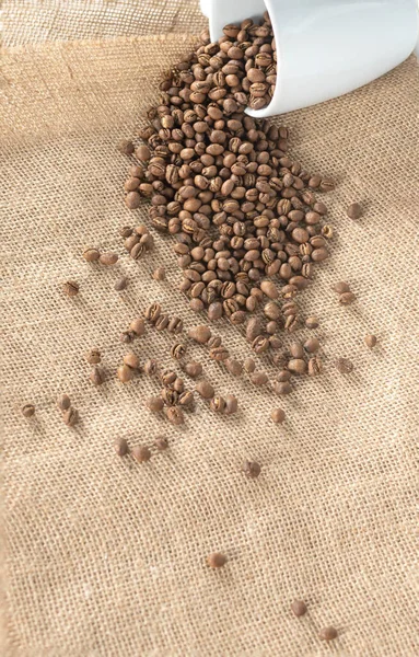 Coffee Beans Cup Fall Dawn Sackcloth Top View — Stock Photo, Image