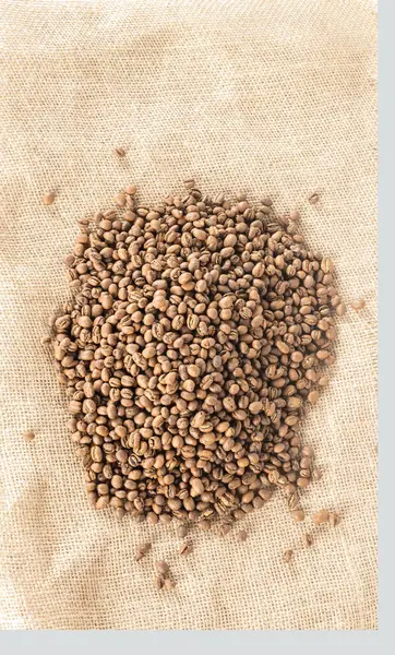 Heap Coffee Beans Lay Sackcloth Top View — Stock Photo, Image